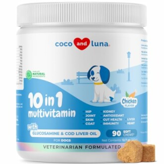 10 in 1 Multivitamin for Dogs