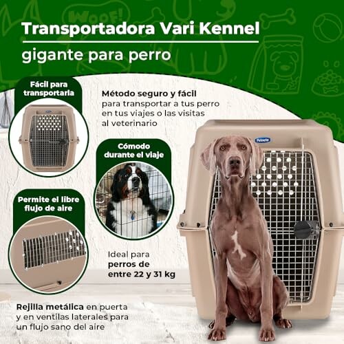 Dog sitting next to a Vari Kennel dog carrier with features highlighted.